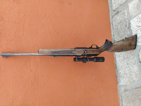 Browning acera battue 300 wm.
Monturas desmontables Leupold.
Visor de batida Avistar retícula iluminada.
1100 01