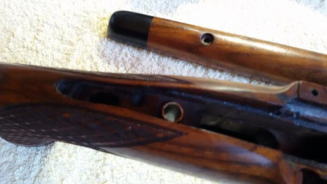 Cambio este rifle por visor de batida gama alta.
Stutzen de 56 cm. de cañón. Estado perfecto. 00