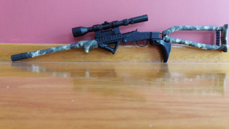 Ideal para iniciarse,  muy segura y simple. Se vende con mira, laser incorporado, bocacha y empuñaduras. 02