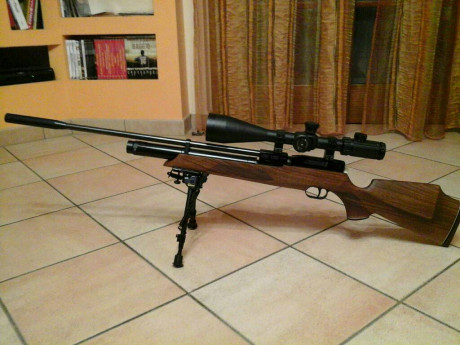 Buenas compañeros quiero montar un vipode a mi HW100 fsb (culata de madera)y me gustaria saber como ponerlo 30