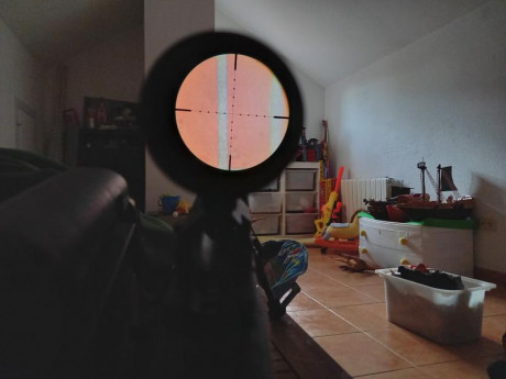 vendo 31