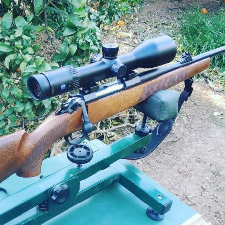 Hola.¿Alguien que tenga el rifle de cerrojo Sichling cal .308 con cañón de 41 cms?
Me gustaría conocer 130