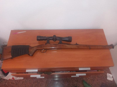 VENDO Carabina Colt-Walther 22 LR
y con los elementos adicionales que figuran en la fotografía. Muy buen 20