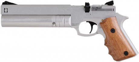 Buenas tardes, quiero hacer una consulta sobre pistolas PCP multitiro...hay en el mercado modelos con 60
