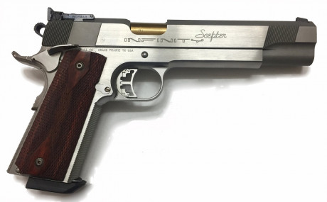Buenas balas compañeros..

Quién sabe sobre estas nuevas armas que en teoría han sustituido a STI..y andan 10