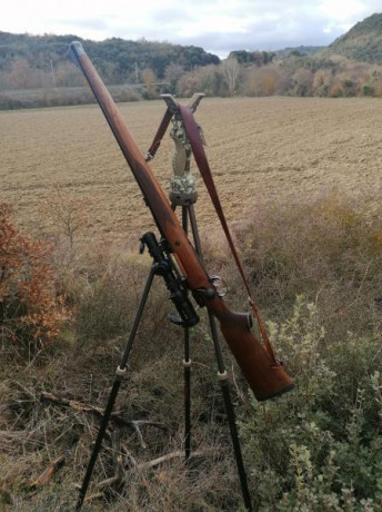Buenas noches compañeros. Pues eso, que estoy buscando un 308 para caza que no sea muy pesado. Me gustaría 22