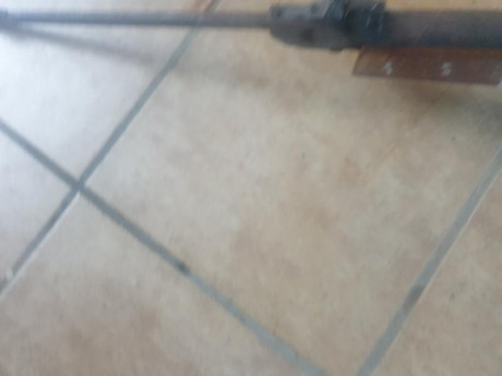 Gamo expomatic funcionando pero sin fuerza,le falta el cargador y la rueda del alza,está en mal estado
Cometa 21