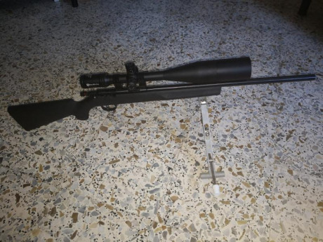 Se vende Lote de armas cortas y largas compuesto por:
-Pistola Libre Steyr FP Match con cacha Morini talla 02