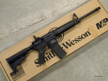 Hola,me voy a comprar un rifle semi y por lo que hay en España ,había pensado en ADC.
Me informe en una 80