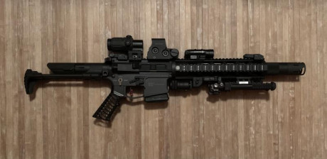 Pues es el caso que estoy mirando un bípode para la CZ del 22LR, de los que se sujetan a la anilla de 161