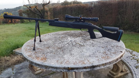 Hola a todos. Vendo carabina Gamo élite Premium IGT del 4.5. Lleva el sistema whisper de reducción de 02