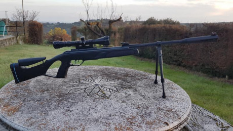 Hola a todos. Vendo carabina Gamo élite Premium IGT del 4.5. Lleva el sistema whisper de reducción de 01