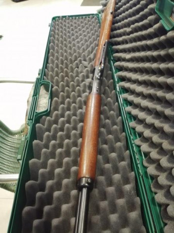 Se cambia por rifle de mi interes y similar valor de nuevo y estado, que mi arma.Incorpora carril Wever. 20