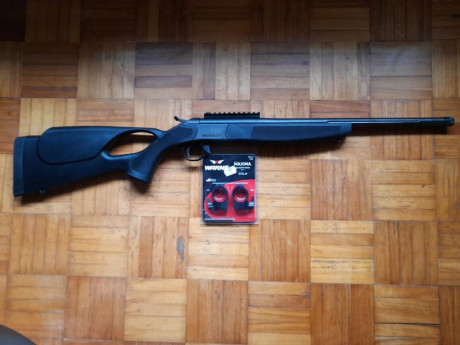Monotiro Bergara Scout, calibre 308 Win., con monturas de 30 m/m desmontables Warne Maxima sin estrenar.
Precio 02