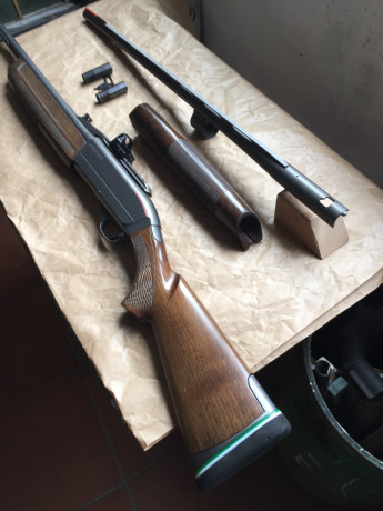 Buenas a todos, dispongo de escopeta Semiautomática Winchester Modelo SX3 con dos cañones, uno con polichok 01