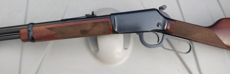 Buenas noches, un amigo da en adopción esta carabina winchester del 22, con visor incluido y alguna cosa 00