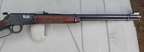 Buenas noches, un amigo da en adopción esta carabina winchester del 22, con visor incluido y alguna cosa 11