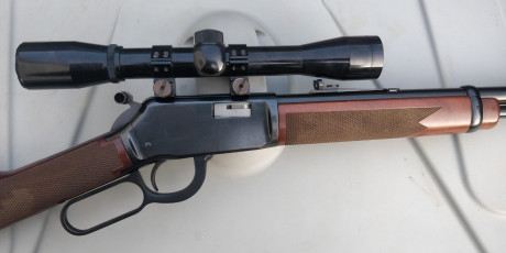 Buenas noches, un amigo da en adopción esta carabina winchester del 22, con visor incluido y alguna cosa 10