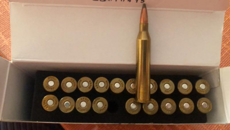 Hola.

 Pongo a la venta cañón blaser k95 para monotiro en calibre 6x62R Freres. En perfecto estado, con 31