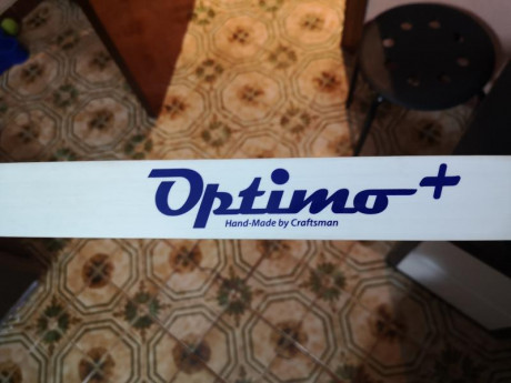 Por dejar afición, pongo en venta mi equipo. Arco, flechas, carcaj, cuerdas de repuesto, brazalete, guantelete, 81