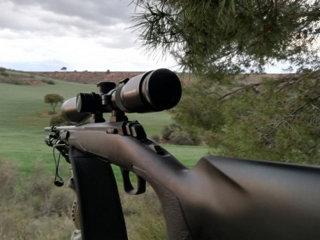 Hola, me gustaría ver algún consejo de quien tenga este rifle, acabo de adquirir un bronwing x-bolt 270wsm 10