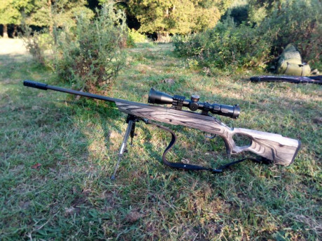 Visor Vector Optics Marksman 3.5-10x44 en perfecto estado con muy poco uso.Tubo de 30mm, torretas balísticas 01
