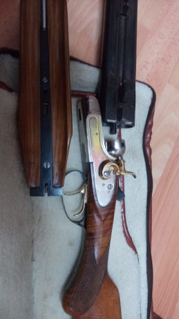 Hola un amigo me pide que le ponga a la venta una escopeta paralela de perrillos esta pavonada y muy bien 02