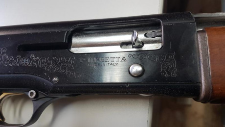Vendo tres escopetas:
- una beretta AL 390 silver mallard, tres estrellas
- dos paralelas, urbiola hermanos 01