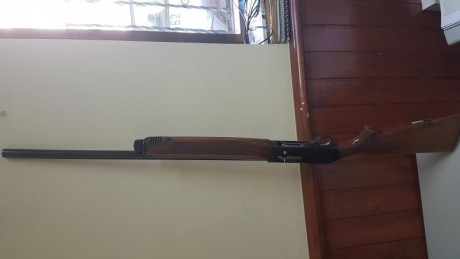 Vendo tres escopetas:
- una beretta AL 390 silver mallard, tres estrellas
- dos paralelas, urbiola hermanos 00