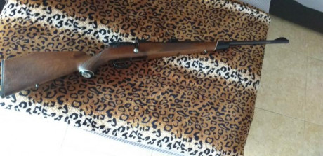 venta rifle :
marca mauser 
modelo europa 66 
cal 270 W
monturas giratorias- desmontables  apel anilla 11