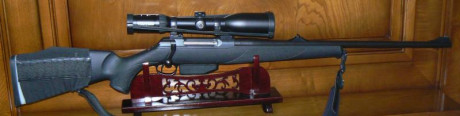 Rifle: Sauer 202 con culata de polímero, muy pocos disparos.

Calibre .300 Winchester magnum.
Óptica: 00