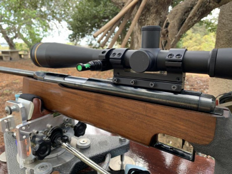 Hola, pues eso, que me he podido agenciar esta estupenda carabina, de la que estoy muy contento por el 70