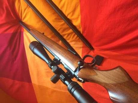 Nunca ha sido disparada
Dispone de los 3 calibres 22 LR, 22 Mag. y 17 HMR y sus respectivos cargadores
Todos 02