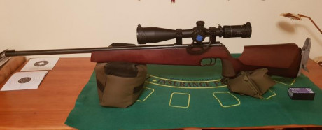 Hola a todos abro este post por que me gustaría iniciarme en carabina 22 pero claro yo no se nada de este 122