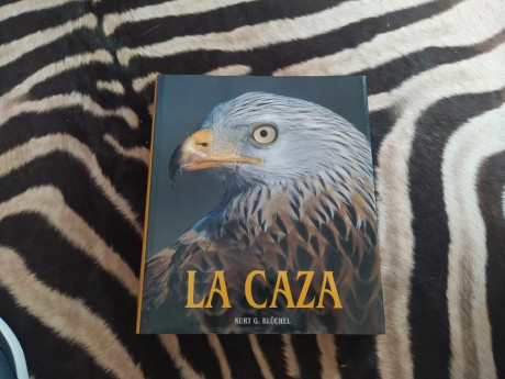 Vendo libro " la caza" de Kurt G. bluchel.
El libro es de tapa dura, muy voluminoso ( 659 paginas), 00