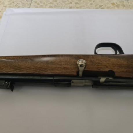 Se vende rifle ardesa, calibre 50, en perfecto  estado, sin uso, la tenía guiada con el art. 107 y por 01