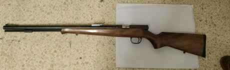 Se vende rifle ardesa, calibre 50, en perfecto  estado, sin uso, la tenía guiada con el art. 107 y por 00