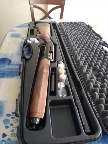 Se vende escopeta semiautomática FN modelo CS. En muy bien estado, con estuche original y sus chokes.
350 02