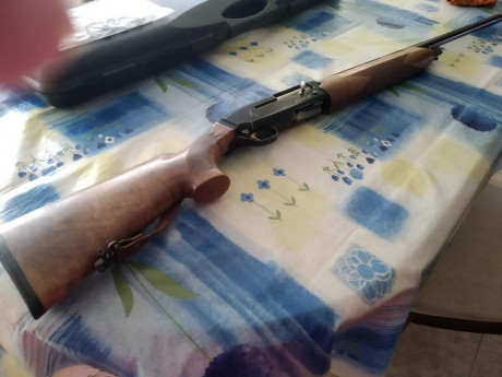 Se vende escopeta semiautomática FN modelo CS. En muy bien estado, con estuche original y sus chokes.
350 01