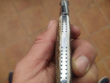 Vendo navaja Muela artesanal modelo NPQ-8A, con cachas de ciervo y lomo decorado.
Esta navaja es de las 20