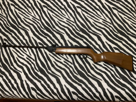 Vendo carabina Gamo Expomatic. Funciona perfectamente, está en buen estado pero tiene el desgaste lógico 00