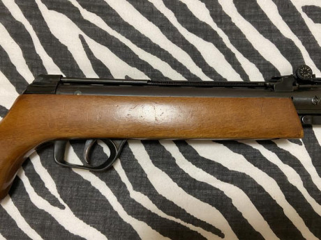 Vendo carabina Gamo Expomatic. Funciona perfectamente, está en buen estado pero tiene el desgaste lógico 11