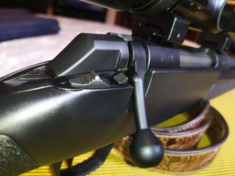Rifle vendido por favor cerrar tema!

Hola compañeros, por falta de uso y por necesitar pasta para otro 02