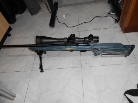 Se vende carabina Marlin xt22vr, con culata origina mas culata zunderbolt de la casa Boidsgunstoc como 02