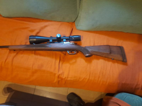 Hola, vendo santa barbara 7mm remington, tiene muy pocos tiros,culata al aceite y encamado, los elementos 02