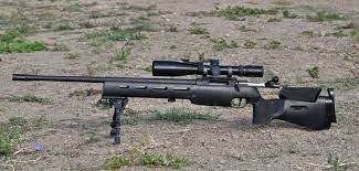 Hola
Estoy por comprarme un rifle y de los que mas me gustan es este
 Rifle de cerrojo THOMPSON Performance 00