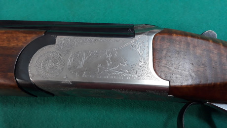 Hola,
Vendo rifle express marca silma , calibre 9,3x74 , en muy buen estado y muy pocos tiros. 1200 euros 02