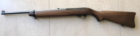 Vendo rifle Ruger cal.44 Mag semiauto, en perfecto estado de conservación y de funcionamiento.
Para más 01