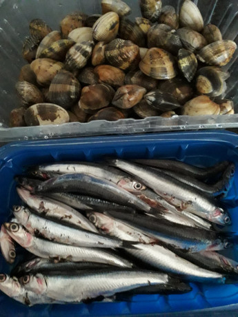 Hoy para comer acelgas hervidas y chuletón de vaca gallega vieja con seis semanas de maduración en cámara 61