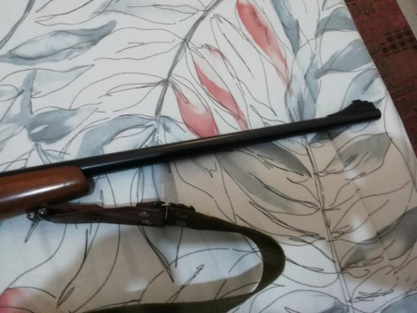 se vende rifle  cz  calibre 222 en perfecto estado pocos disparos  rifle de   calidad  y super preciso 11